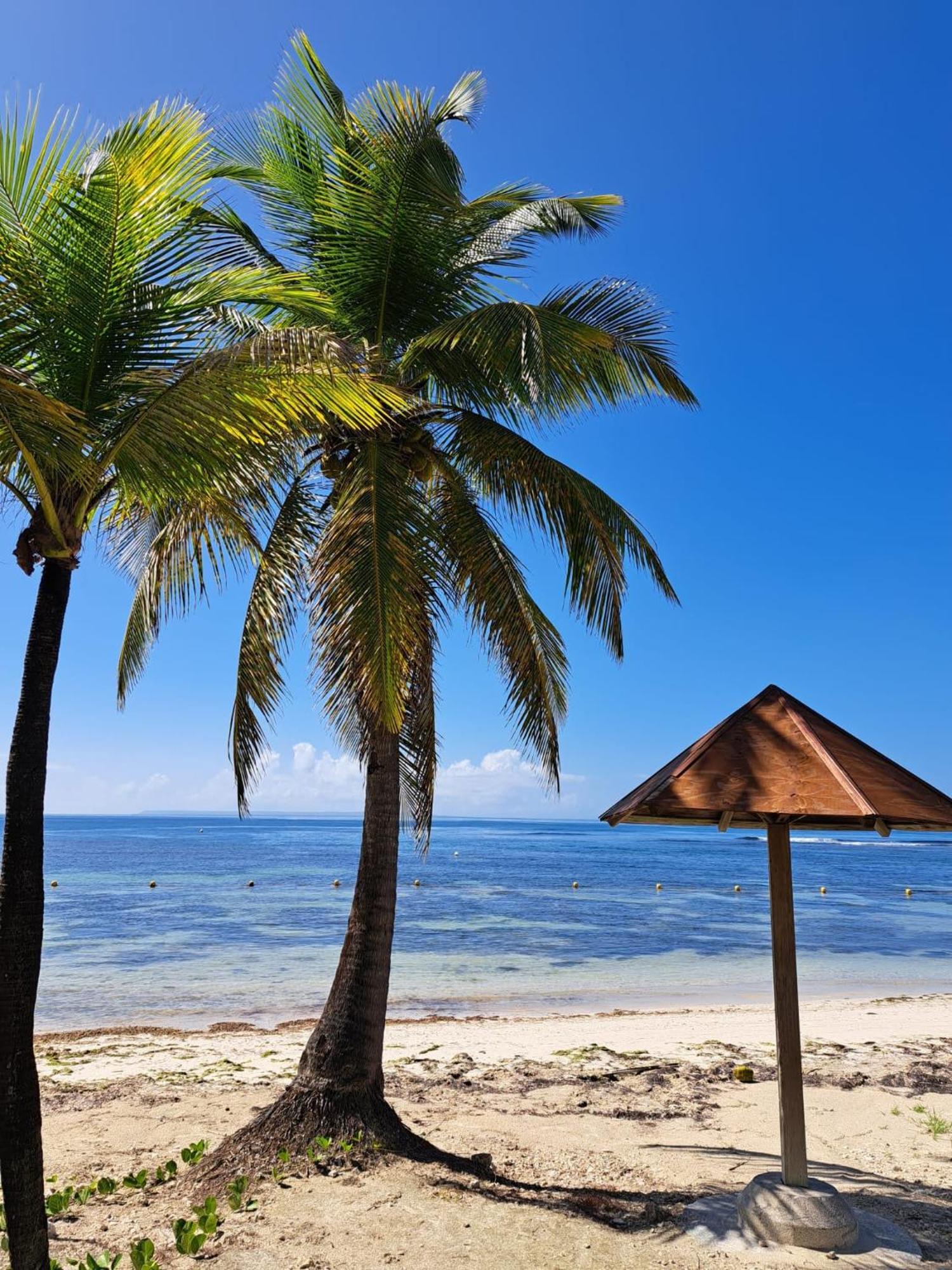 Studios Angoreva Vue Mer - Cote Plage Ou Jardin - Village Vacances - Sainte-Anne Guadeloupe Courcelles Bagian luar foto
